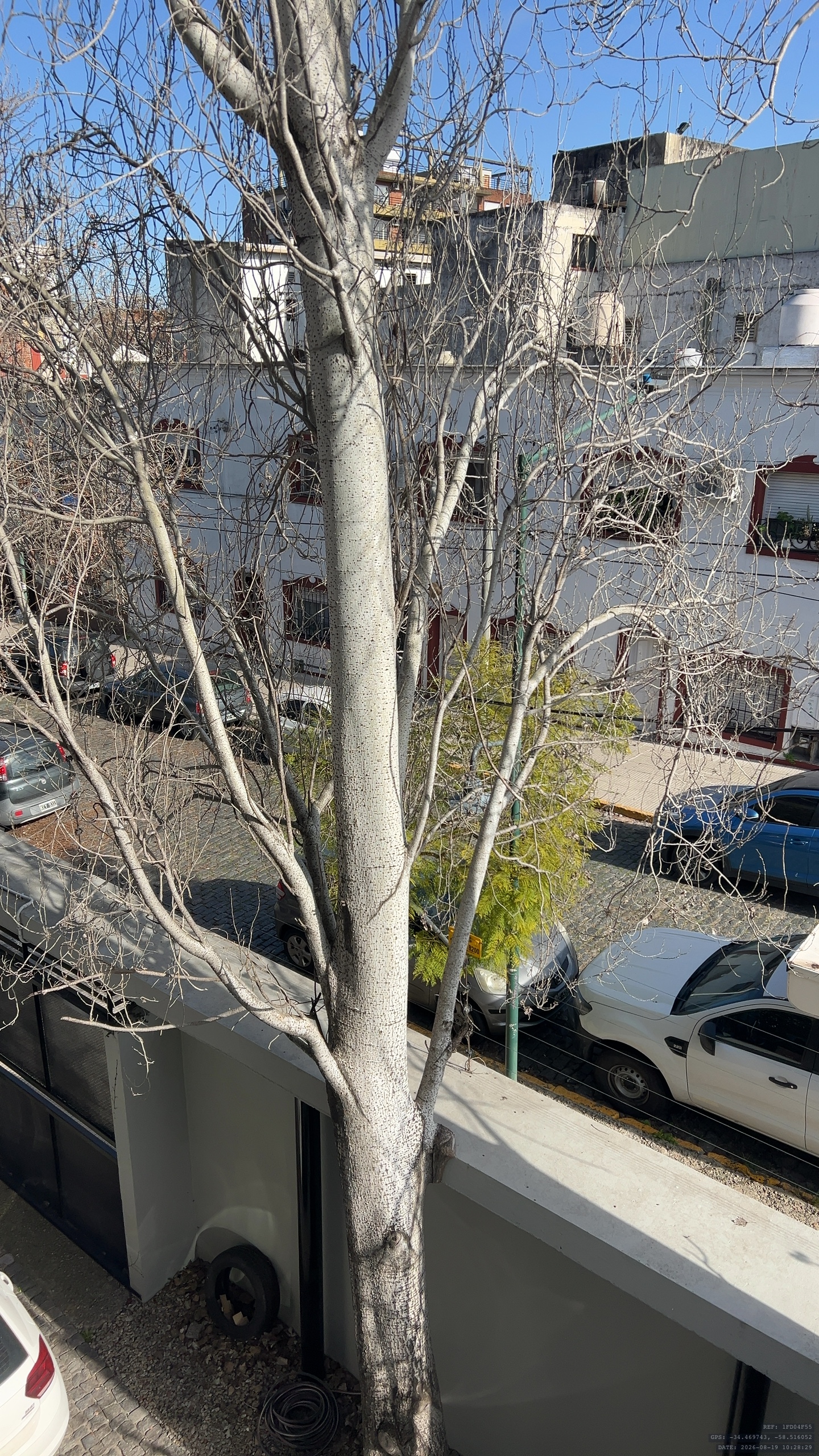 Vista Frontal